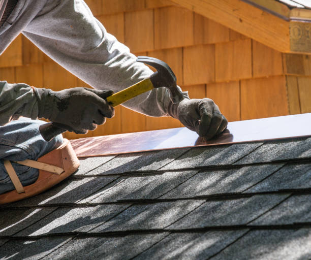 Best Roof Gutter Cleaning  in Pickens, MS